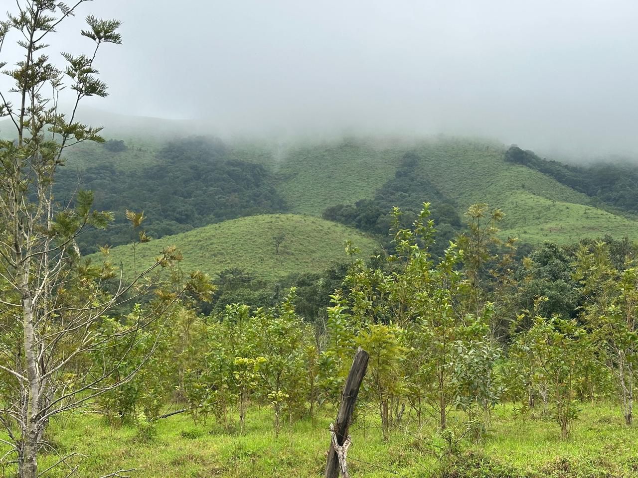 1 Acre Beautiful Hill View Land – Mudigere